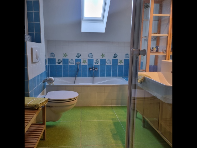 Bad mit Dusche, Badewanne, WC, Waschbecken- und viel Platz !