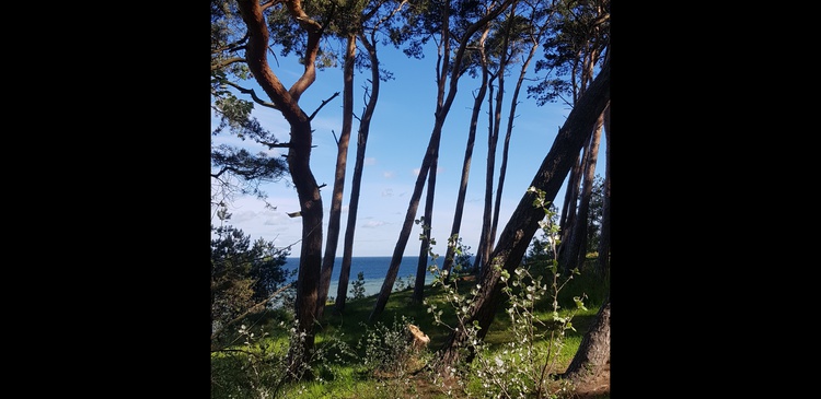 Blick von der Steilküste