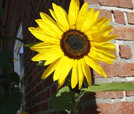 Ferienwohnung Langballig