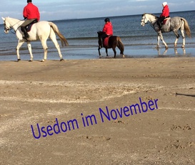 Ferienhaus Trassenheide