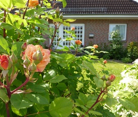 Ferienwohnung Kellenhusen