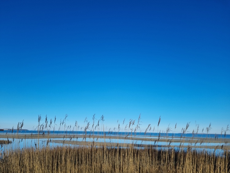 Ostsee- zu jeder Jahreszeit eine Reise wert !