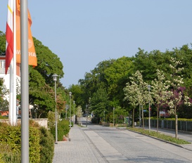 Ferienwohnung Zinnowitz