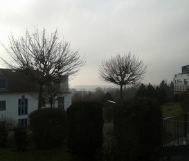 Ferienwohnung Zinnowitz