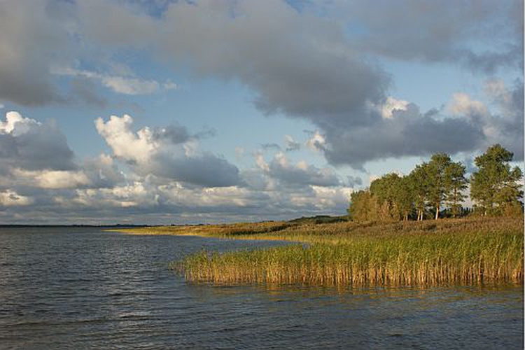 Umgebung: 300 m zum Bodden