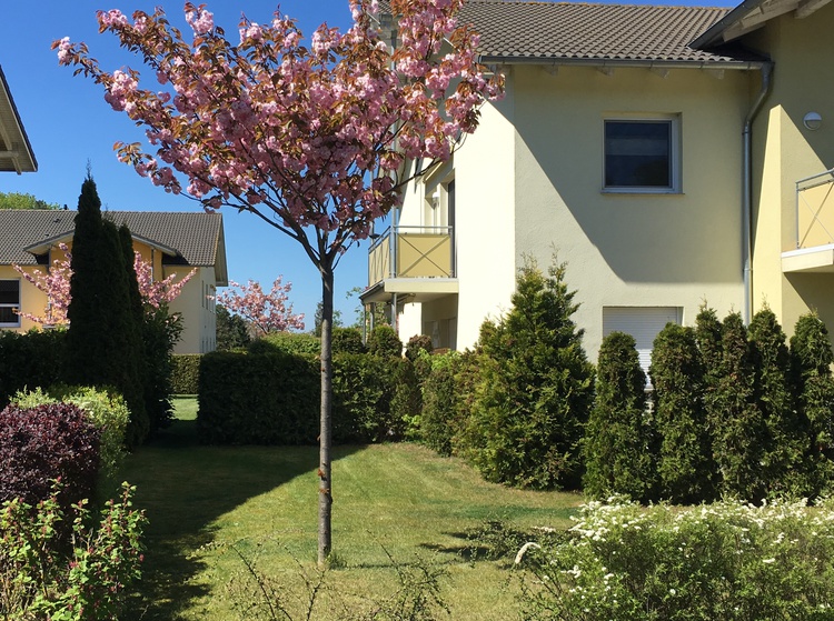 Außenanlage, Gebäude