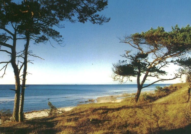 Der TRaumhafte Weststrand