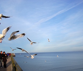 Ferienhaus Karlshagen