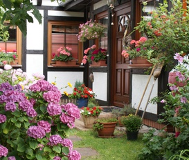 Ferienwohnung Koserow