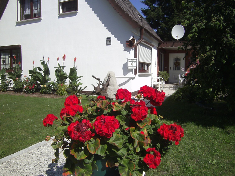 Anrufen: 038232 15687