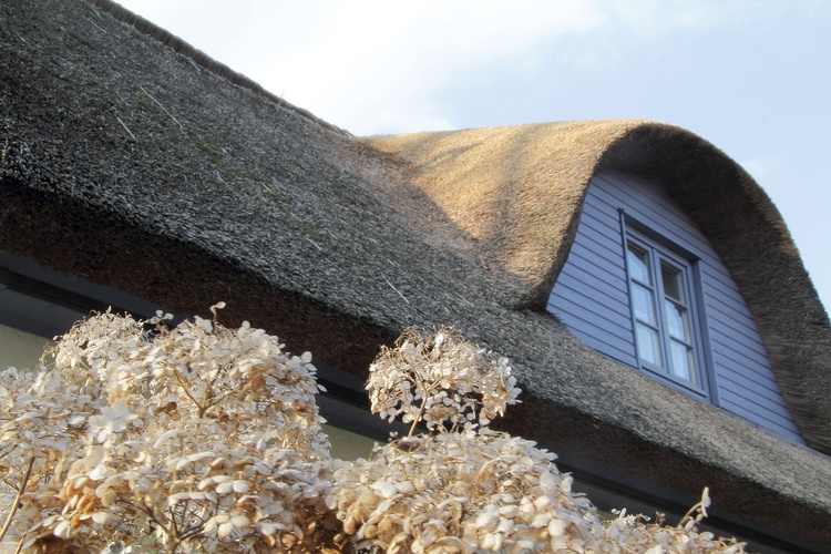 reetgedeckte Fledermausgaube