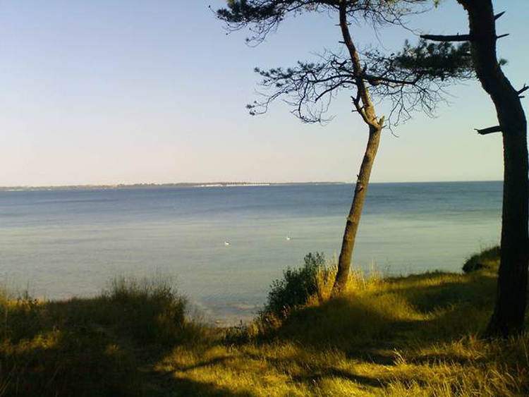 ... unser Lieblingsplatz Kiefernwald...