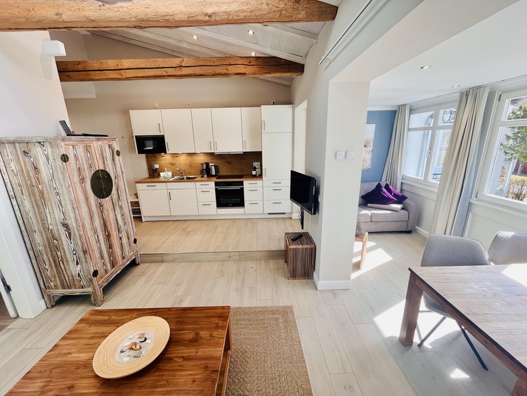 Blick auf die Küche und das Schlafsofa