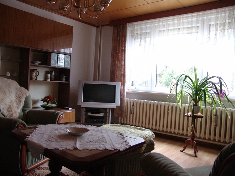 Im gemütlich eingerichteten Wohnzimmer mit Couch, Sat.-TV, DVD-Player, Video-Recorder u.a.