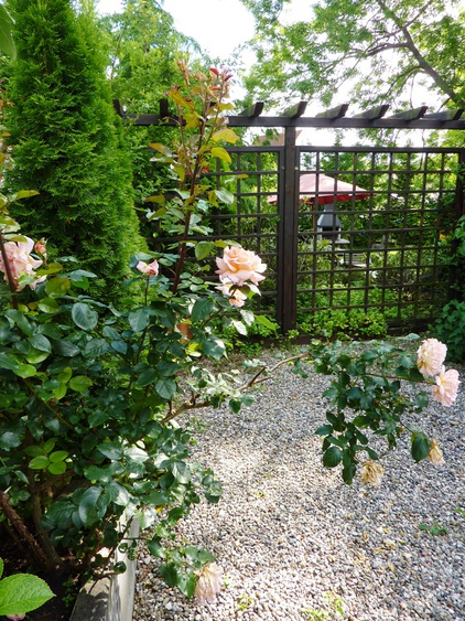Rosengarten mit Blick zum Grillplatz im vorderen Bereich des Hauses