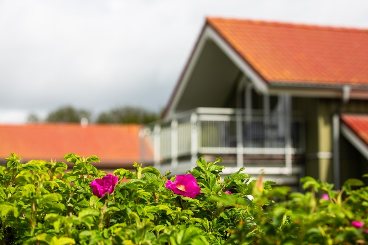 Blick auf unsere Kapitänshäuser