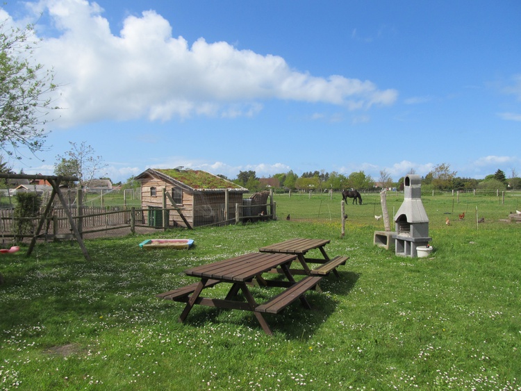 Der Grillplatz mit Abendsonne