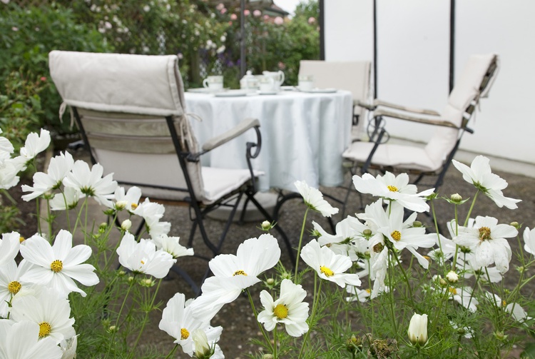 Frühstück auf der Terrasse