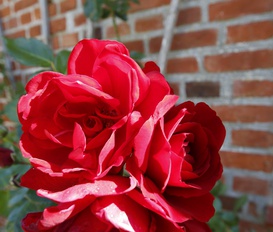 Ferienwohnung Langballig