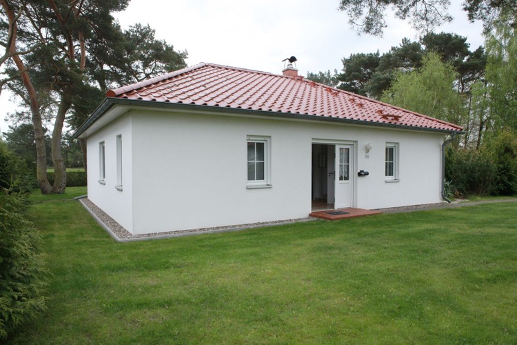 Usedom singleurlaub