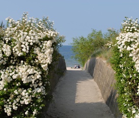 Ferienwohnung Zinnowitz