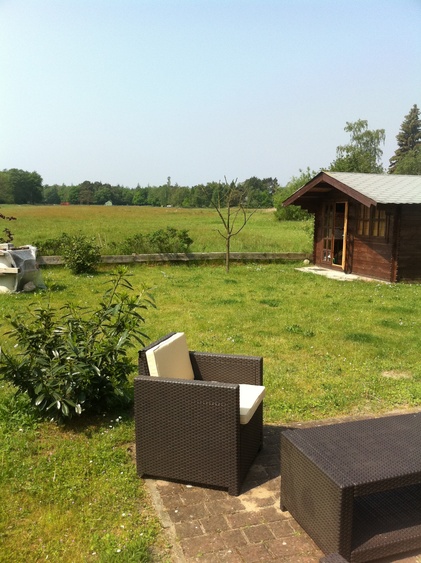 Der Blick Richtung Wald