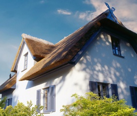 Ferienhaus Am schwarzen Busch