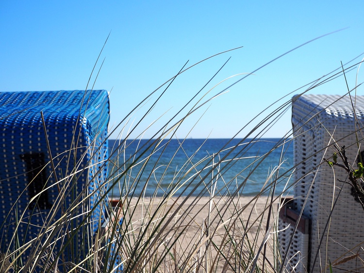 Strandkörbe am Ostsee Resort Dampland-Strand