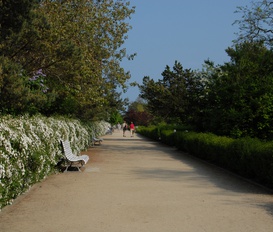 Ferienwohnung Zinnowitz