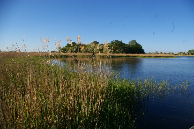 Blick vom privaten Anleger