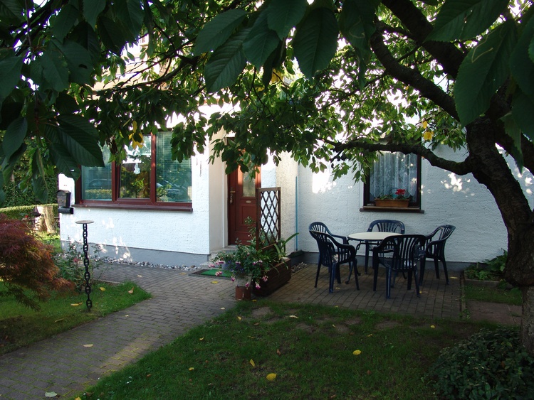 Das Blätterdach des Süßkirschbaumes bietet einen angenehmen Aufenthalt im Freien.