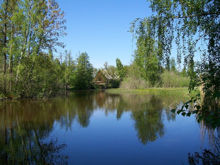 Der Silverån, 300 m vom Ferienhaus