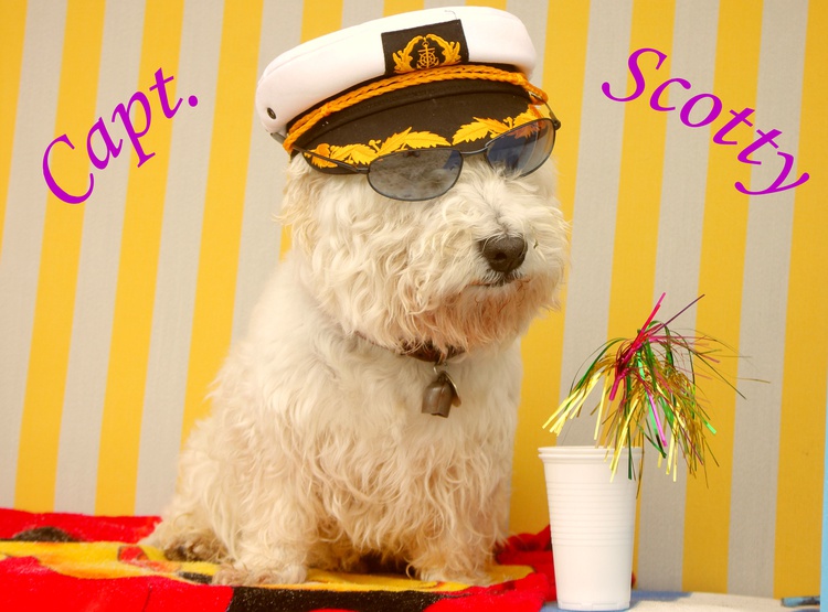 IHR LIEBLING IST BEI UNS WILLKOMMEN