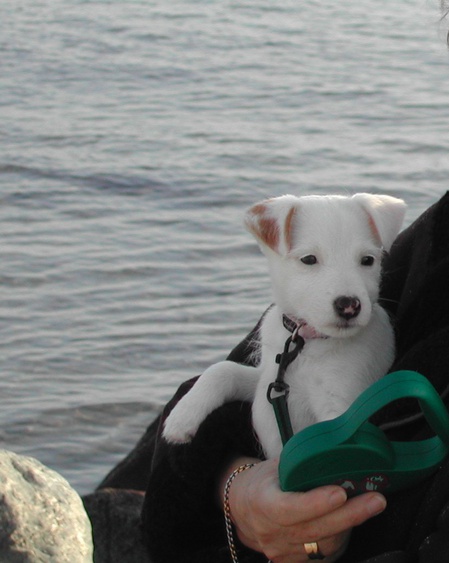 auch ich darf auf Anfrage in meinem Körbchen hier schlafen