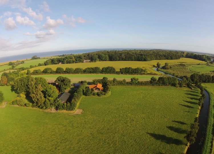Aus der Vogelperspektive - im Naturschutzgebiet nahe der Ostsee