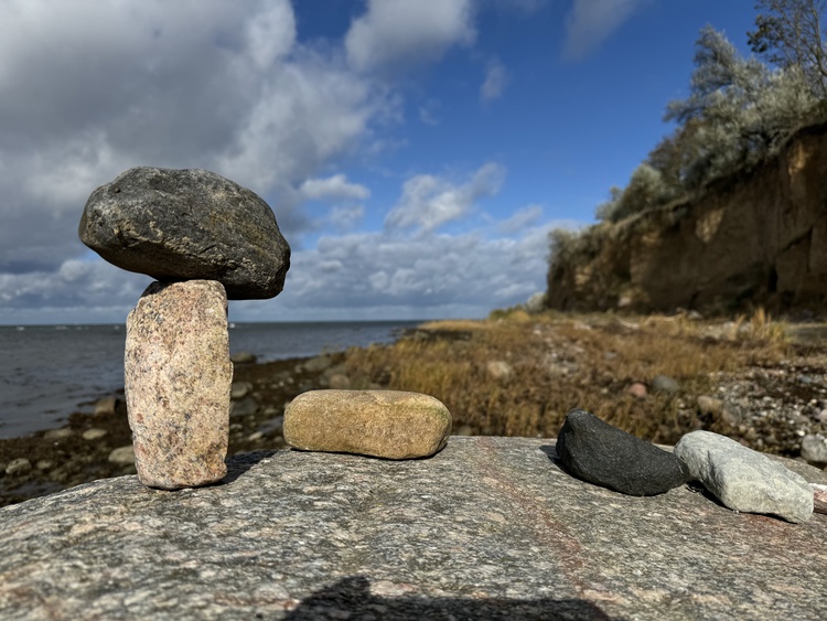 Am Naturstrand gibt es viel zu entdecken