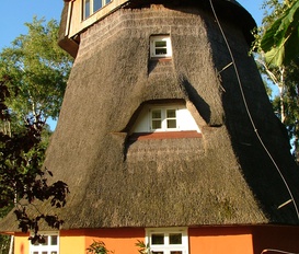 Mühle Wustrow