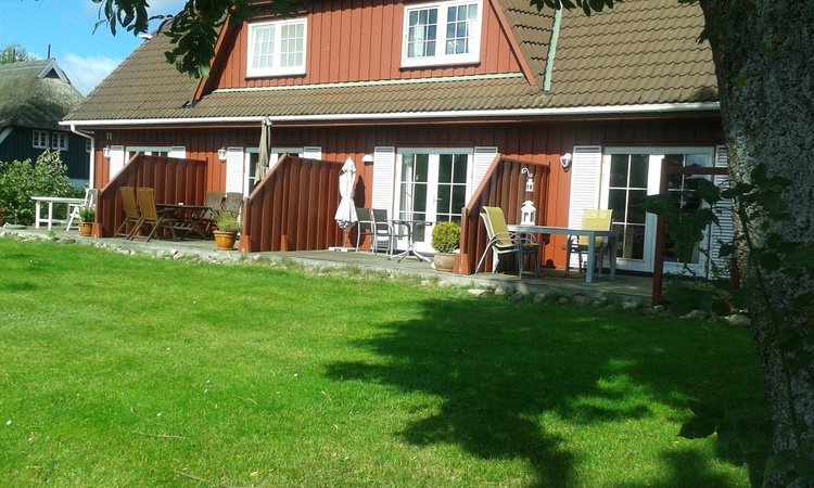 Rasenfläche vor dem Haus Rasenfläche vor dem Haus