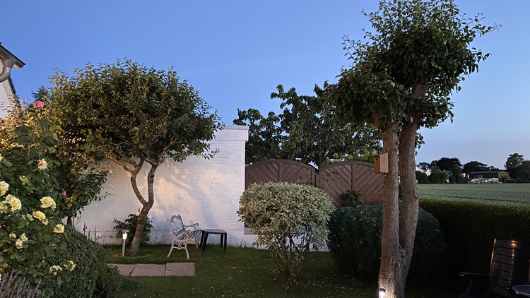 Garten Garten