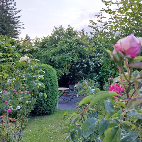 Garten Garten