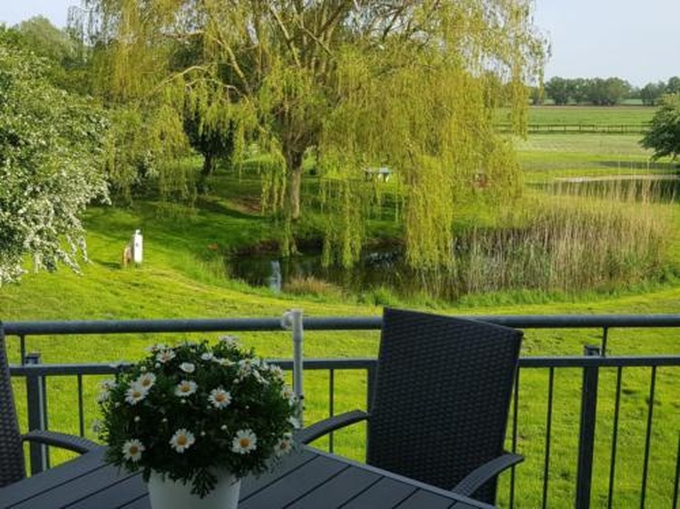 Blick vom Balkon Blick vom Balkon