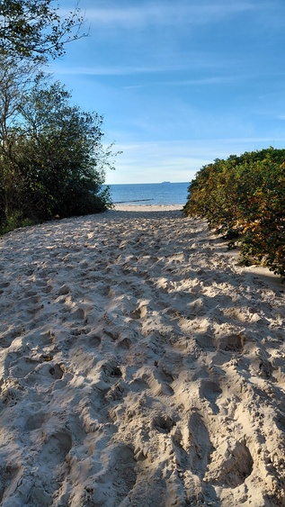 Dünenaufgang zur Ostsee Graal-Müritz Dünenaufgang zur Ostsee Graal-Müritz