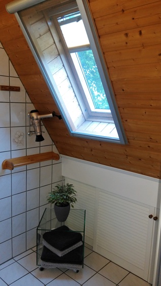 Duschbad, Fön, Handtücher Duschbad, Fön, Handtücher