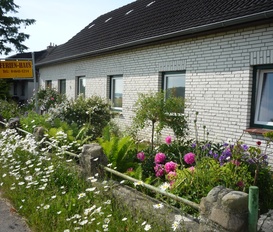 Ferienhaus Ulsnis