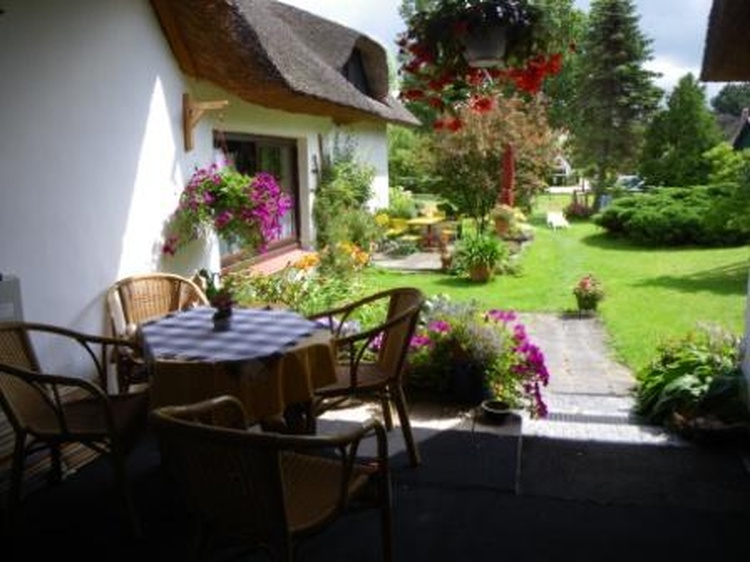 blick in den Garten blick in den Garten