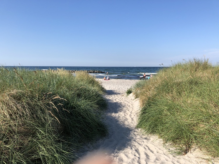 Urlaub pur 300m zum Ostseestrand
