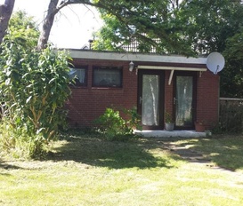 Suchmaschinenmarketing Intuition Zittern ferienhaus malente mit hund