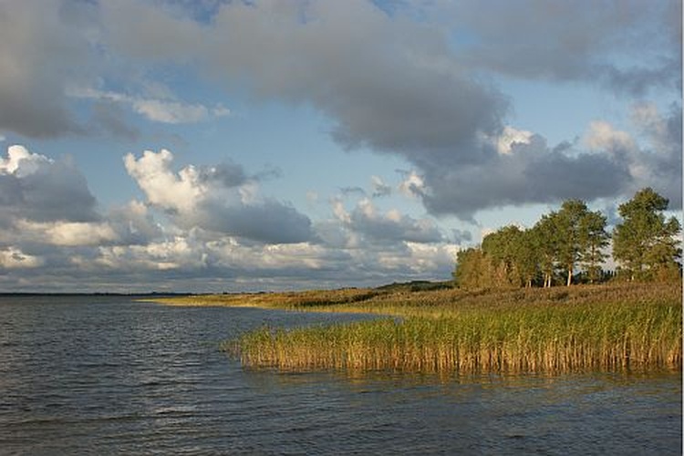 Umgebung: 300 m zum Bodden Umgebung: 300 m zum Bodden