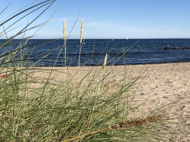 Urlaub pur – Sandstrand nur 300 m www.Ostsee-Ferienhaus-Schönhagen.de