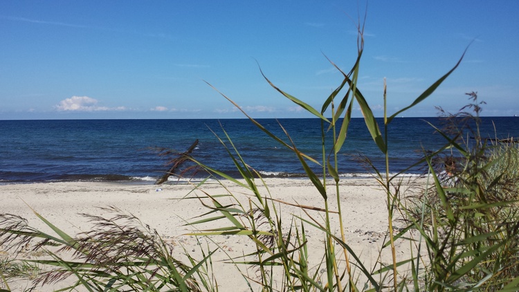 Strand Börgerende Strand Börgerende